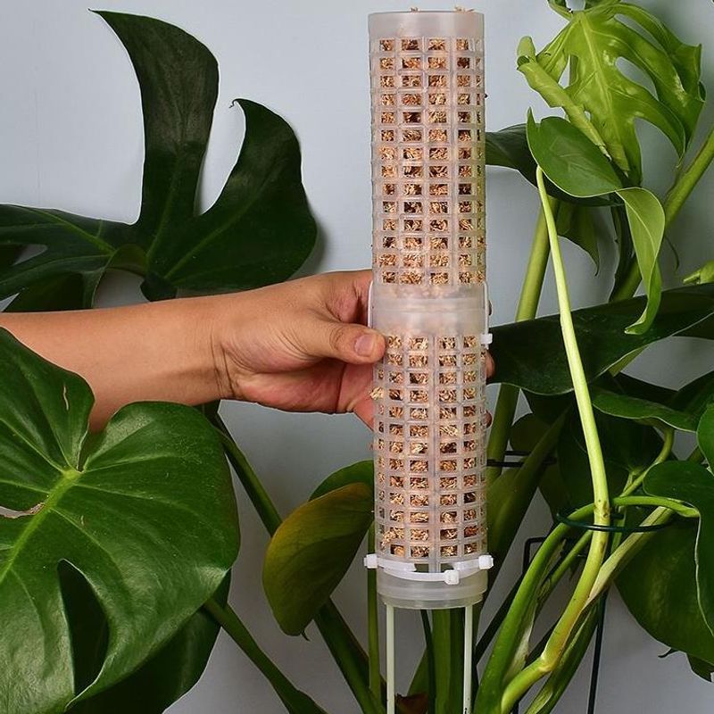 Sphagnum Moss Dry - Aksesori Plastik Tiang Lumut Totem Stick