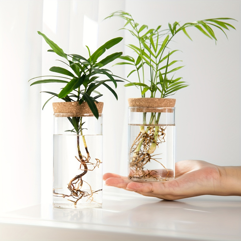 Propagation Station Vase - 1 buah, tanaman hidroponik Desktop vas