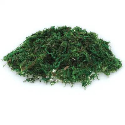 Sphagnum Moss Dry - 1 Pak Dekorasi Lumut Palsu Tampak