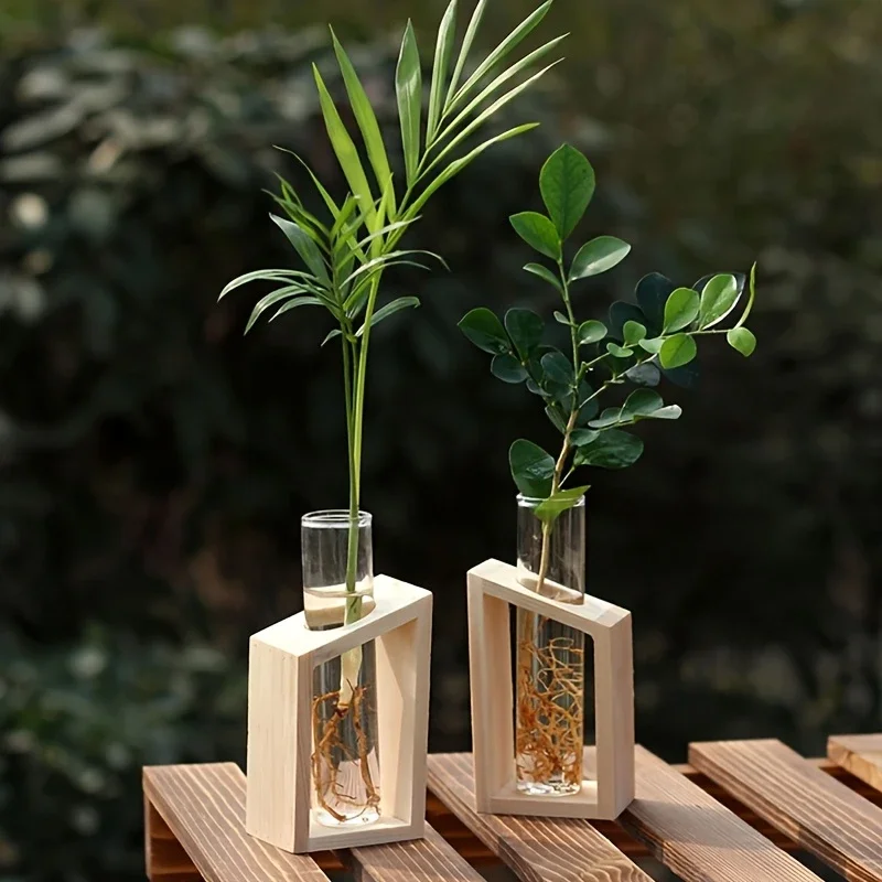 Propagation Station Vase - Vas Kaca Tabung Reaksi untuk Perbanyakan