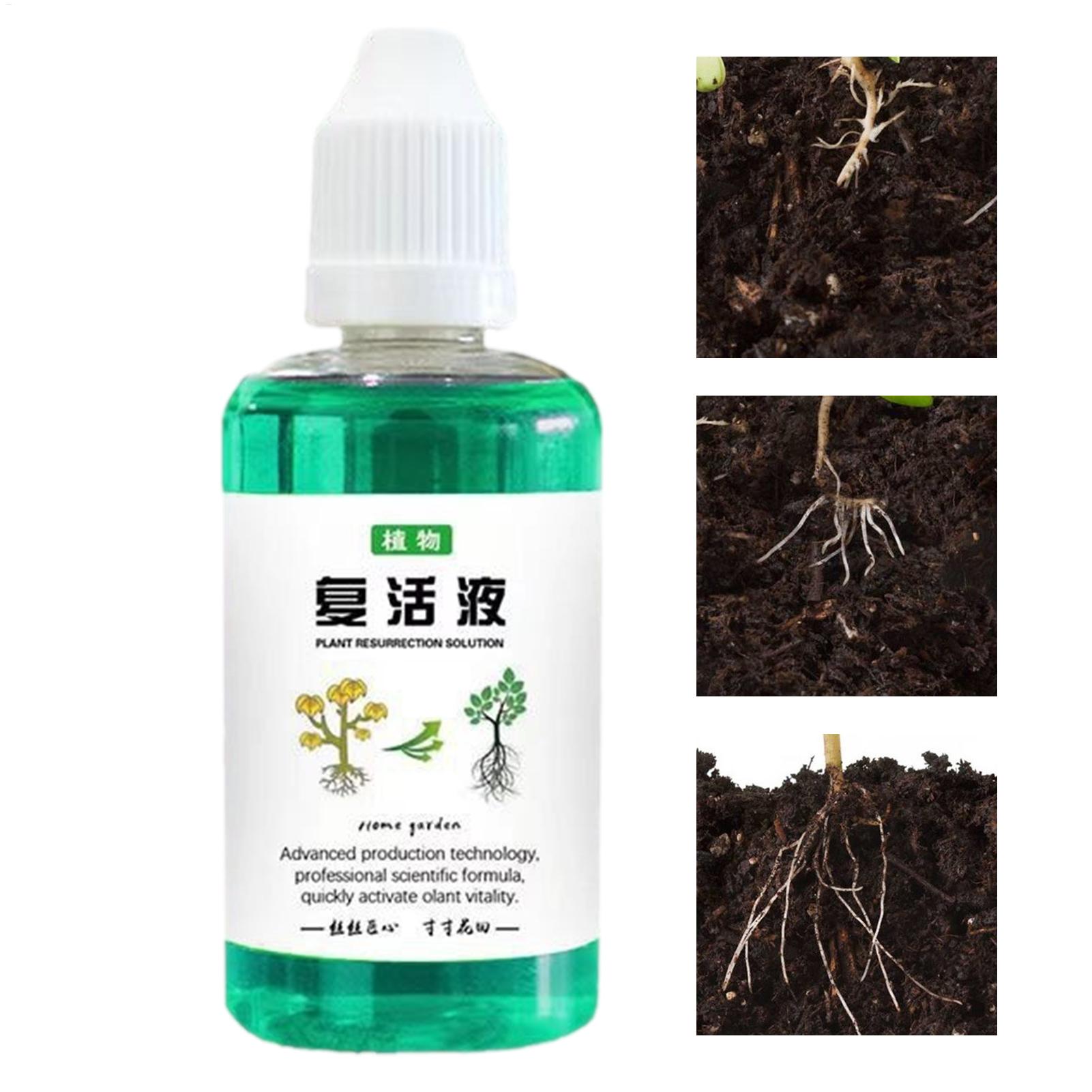 50ml Stimulator Akar Cairan Pe - Root Stimulator Liquid ulasan dan harga