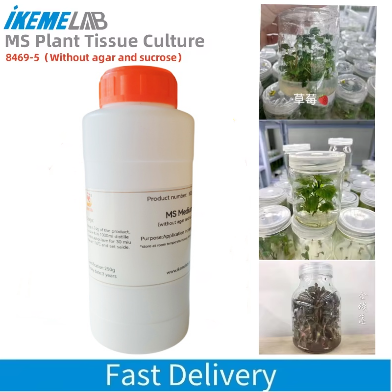 Keme Lab MS 250g, Medium tanpa - Agar Tissue Culture ulasan dan harga