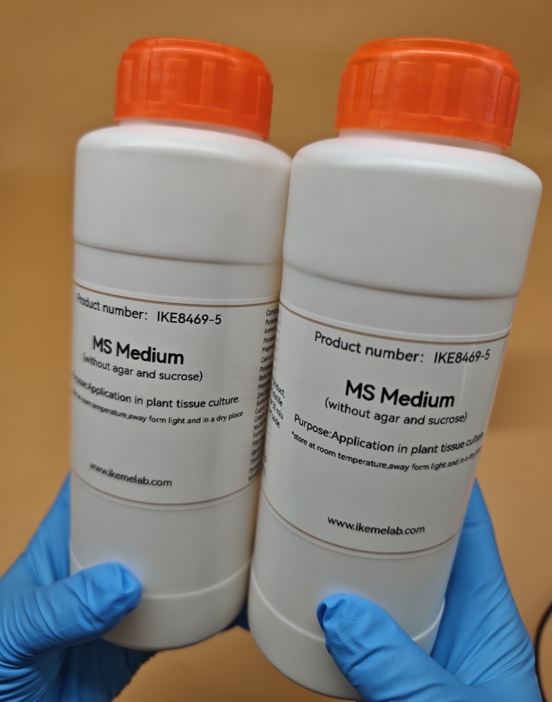 Keme Lab MS 250g, Medium tanpa - Agar Tissue Culture ulasan dan harga