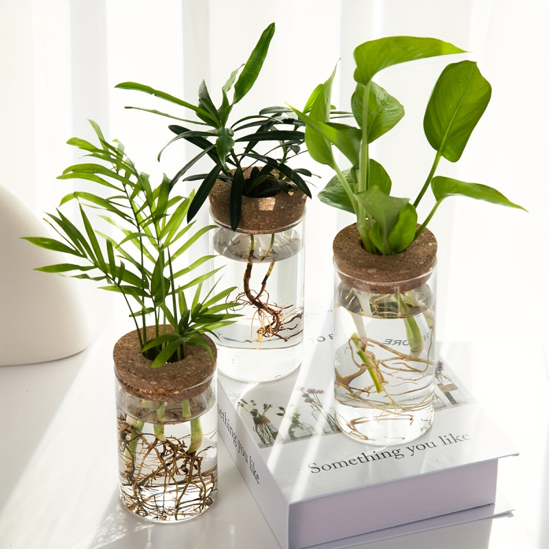 1 buah, tanaman hidroponik Des - Propagation Station Vase ulasan dan harga
