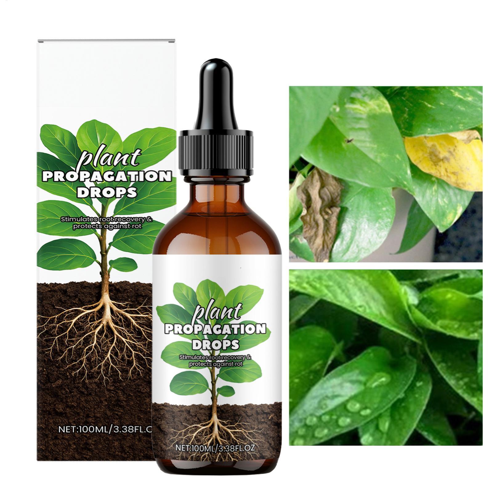 Penguat Akar 100ml Tetes Stimu - Root Stimulator Liquid ulasan dan harga