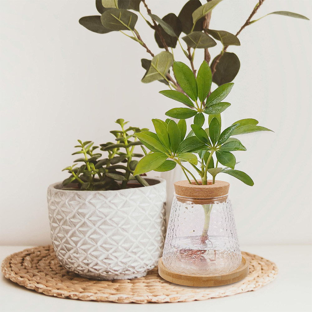 2 Buah Vas Hidroponik Kaca, Wa - Propagation Station Vase ulasan dan harga