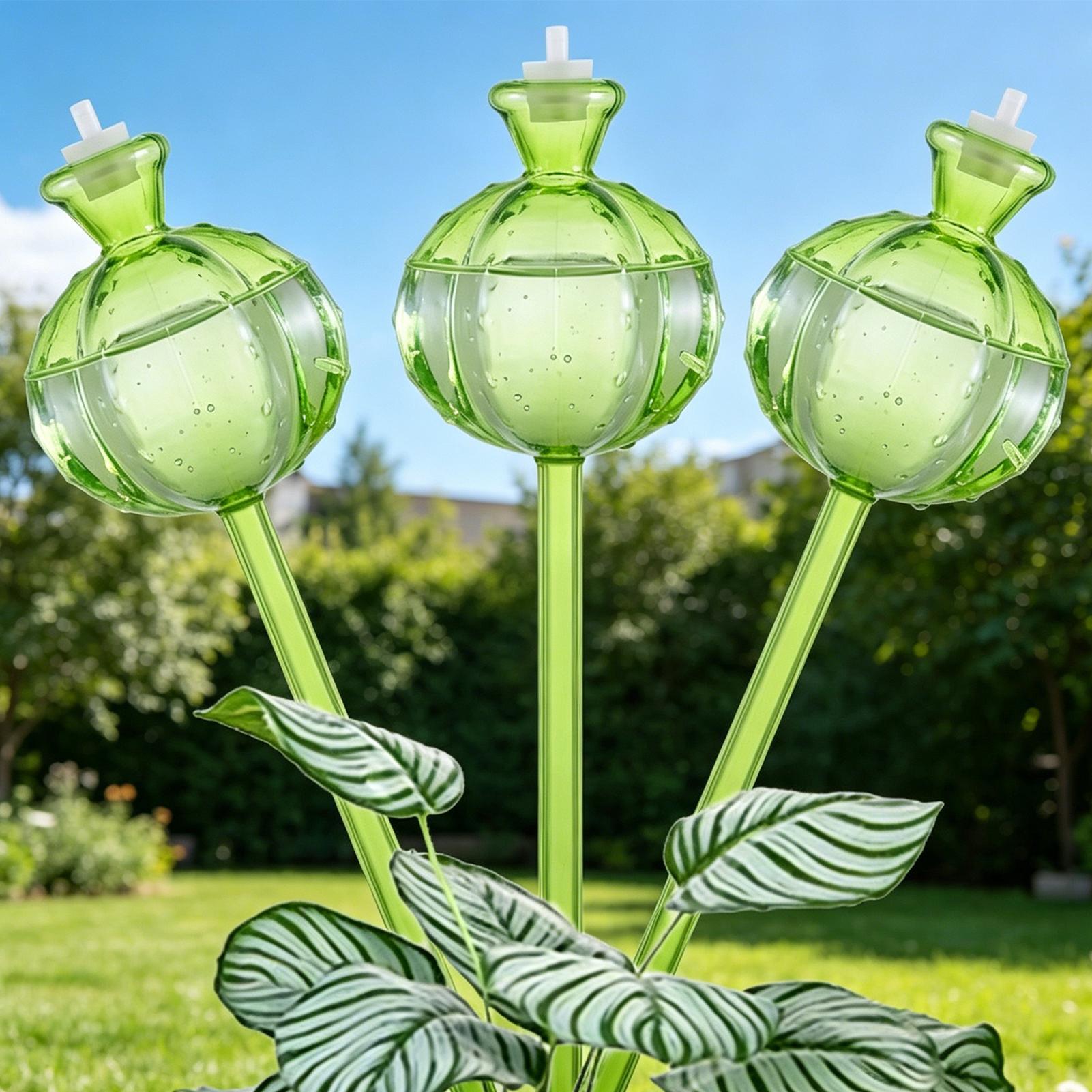 Bola Penyiram Otomatis 3 Buah, - Self Watering Insert ulasan dan harga