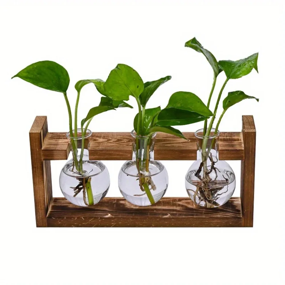Vas Tanaman Hidroponik Stasiun - Propagation Station Vase ulasan dan harga