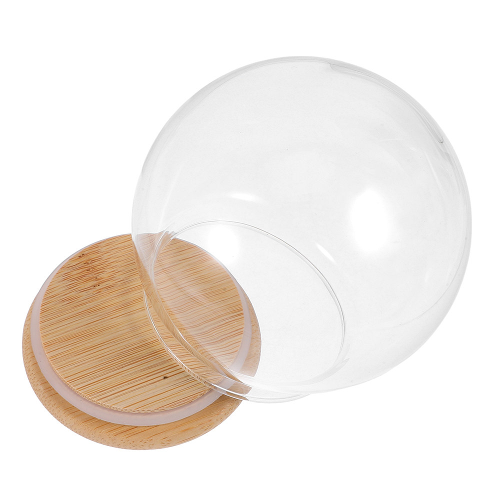 Kubah Kaca Transparan Anti Deb - Plastic Dome Clear ulasan dan harga