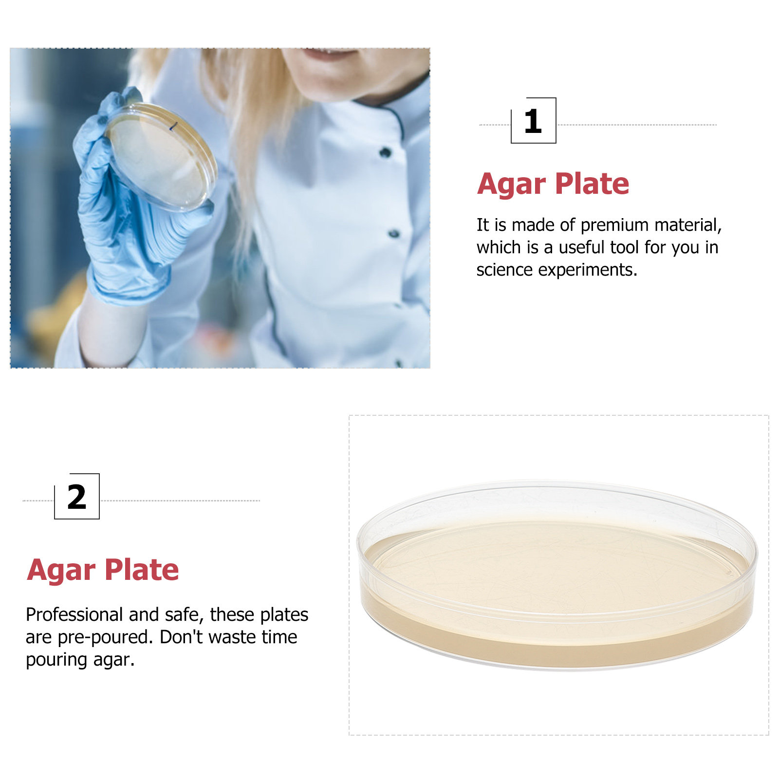10 Buah Piring Agar Nutrisi Ca - Agar Tissue Culture ulasan dan harga