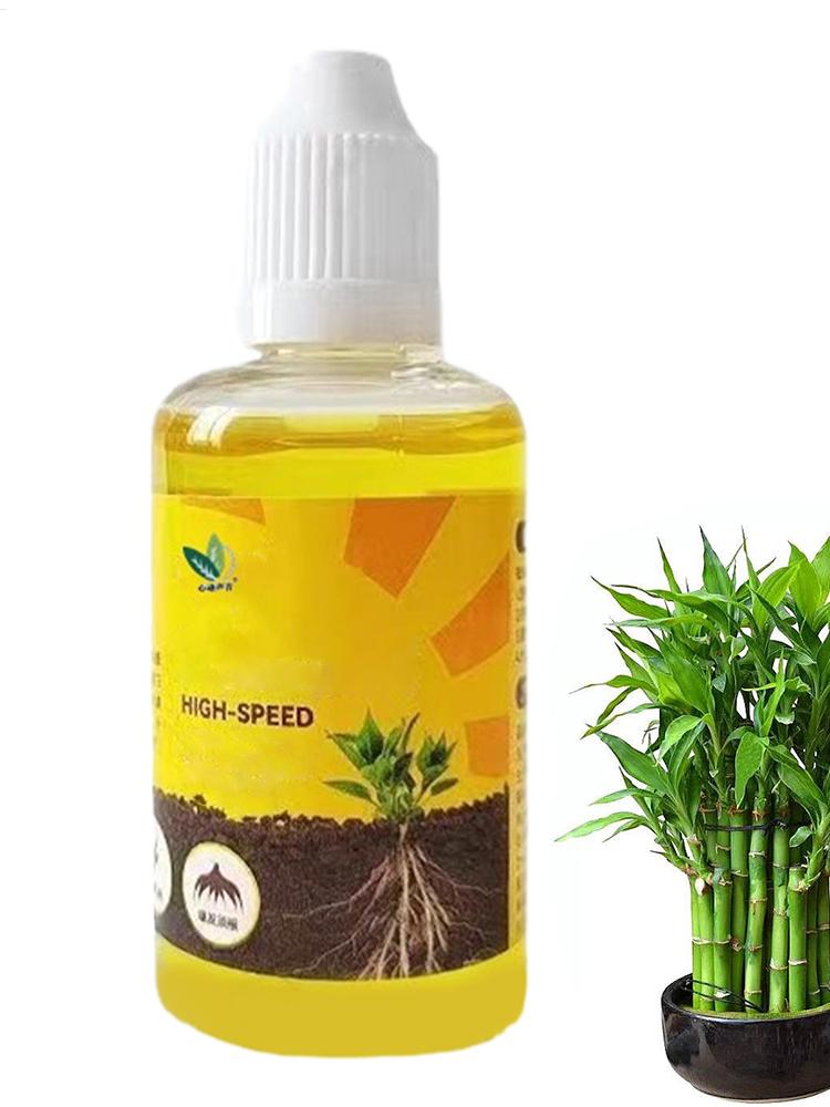 Cairan Stimulator Perakaran Ta - Root Stimulator Liquid ulasan dan harga