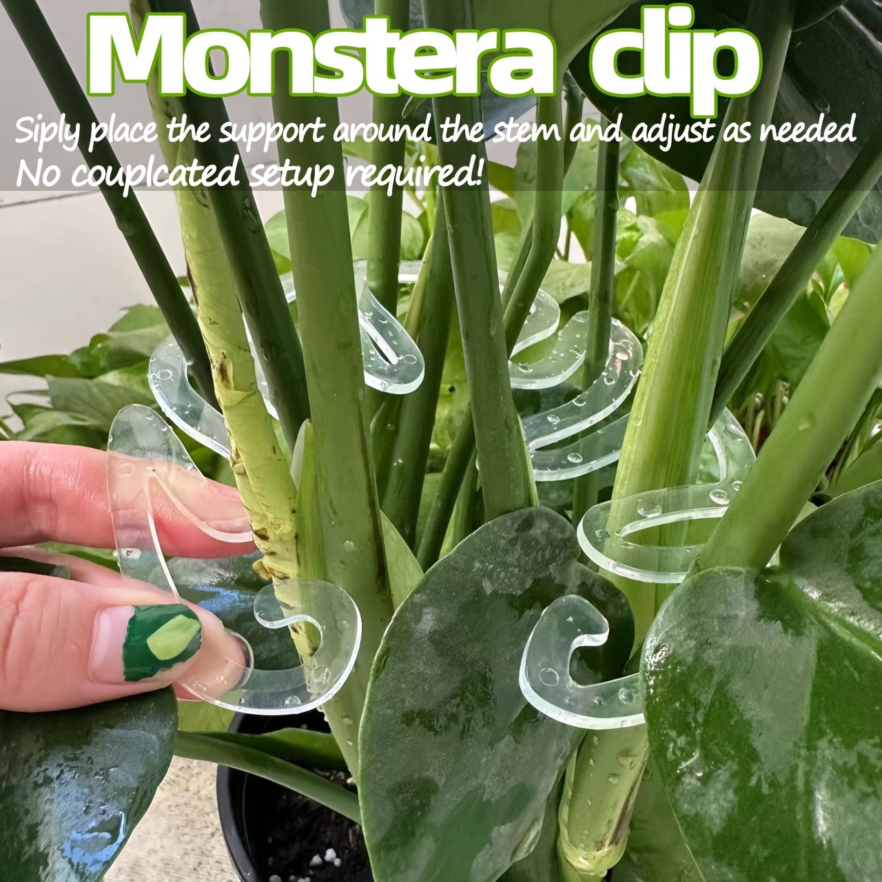 Klip Penyangga Tanaman Monster - Sphagnum Moss Dry ulasan dan harga