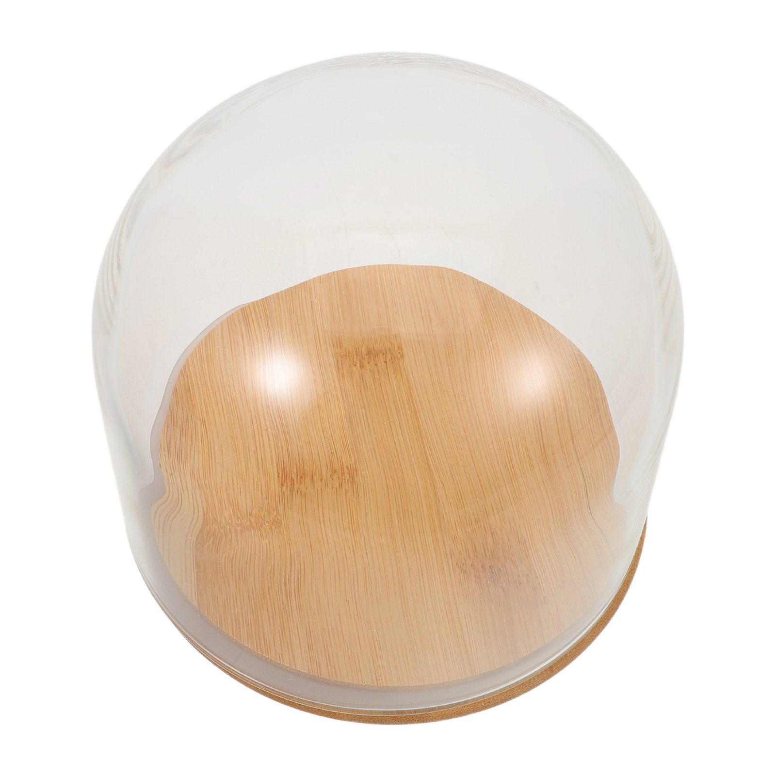 Kubah Kaca Transparan dengan A - Plastic Dome Clear ulasan dan harga