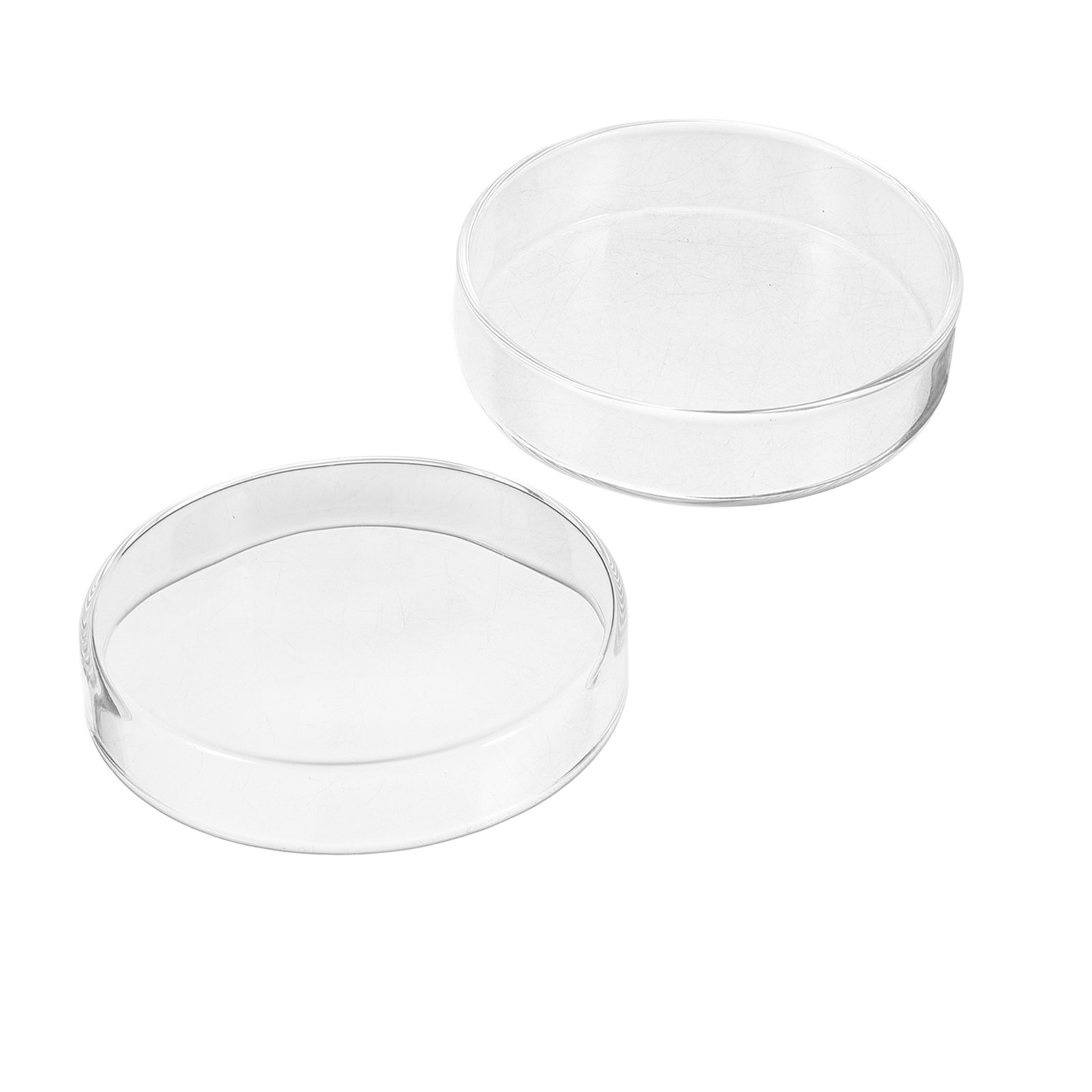 1Set Cawan Petri Kaca Tebal ya - Agar Tissue Culture ulasan dan harga