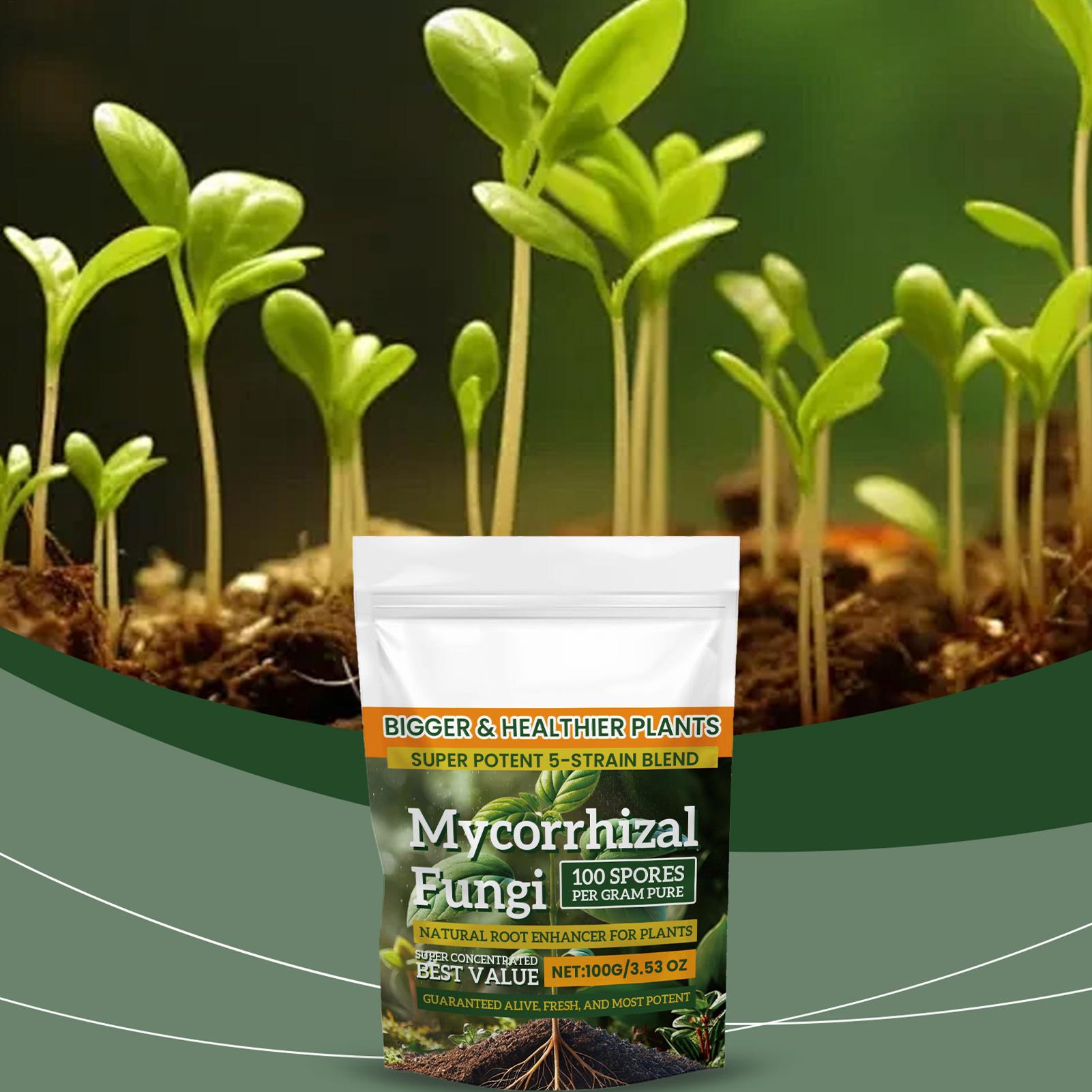Bubuk Nutrisi Tanaman Baru 100 - Rooting Hormone Powder ulasan dan harga