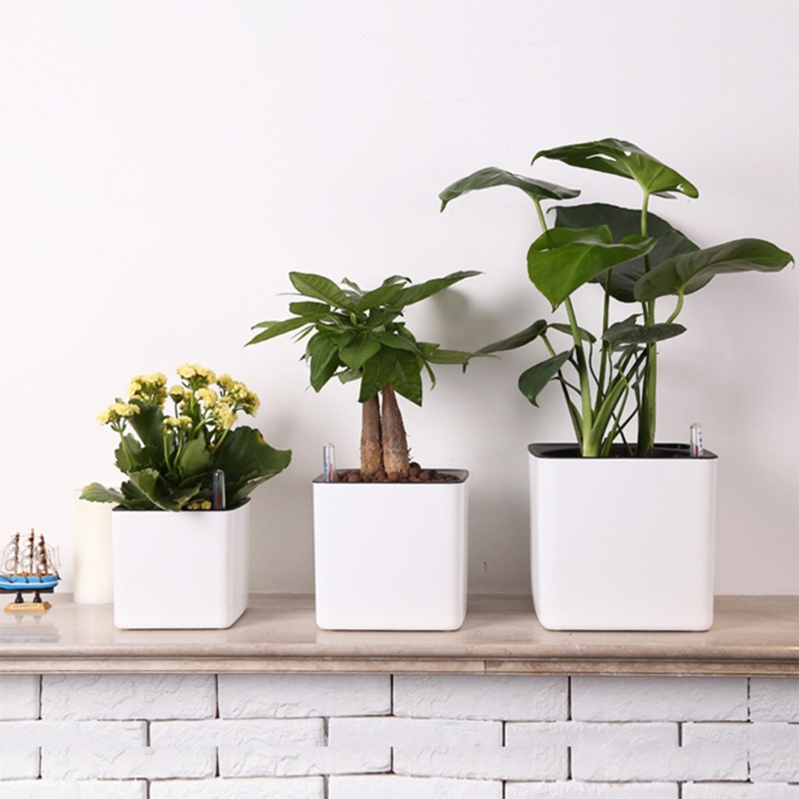 Pot Tanaman Self-Watering deng - Self Watering Insert ulasan dan harga