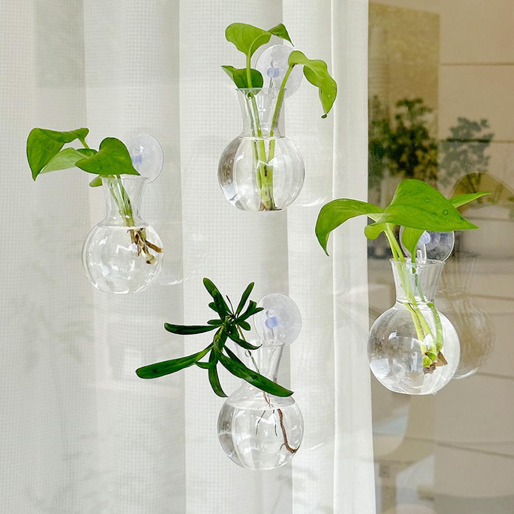 Vas Tanaman Jendela, Penyangga - Propagation Station Vase ulasan dan harga