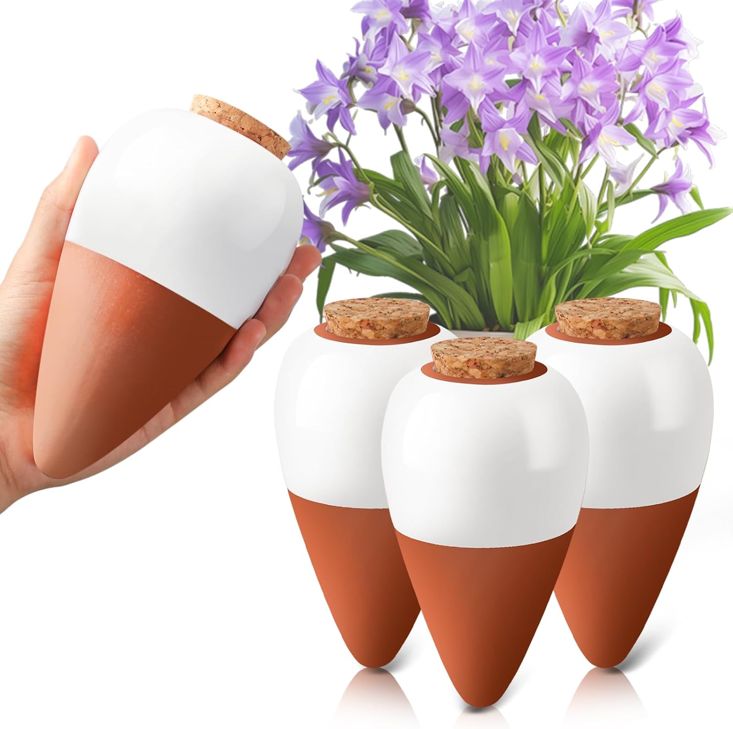 Penetes Air Tanaman dari Terak - Self Watering Insert ulasan dan harga