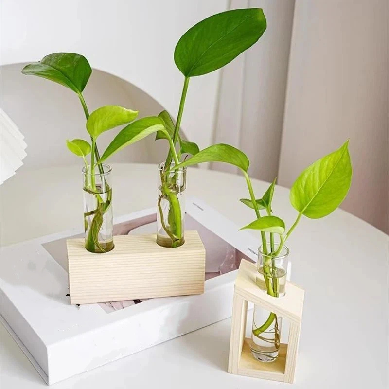 Vas Kaca Tabung Reaksi Stasiun - Propagation Station Vase ulasan dan harga
