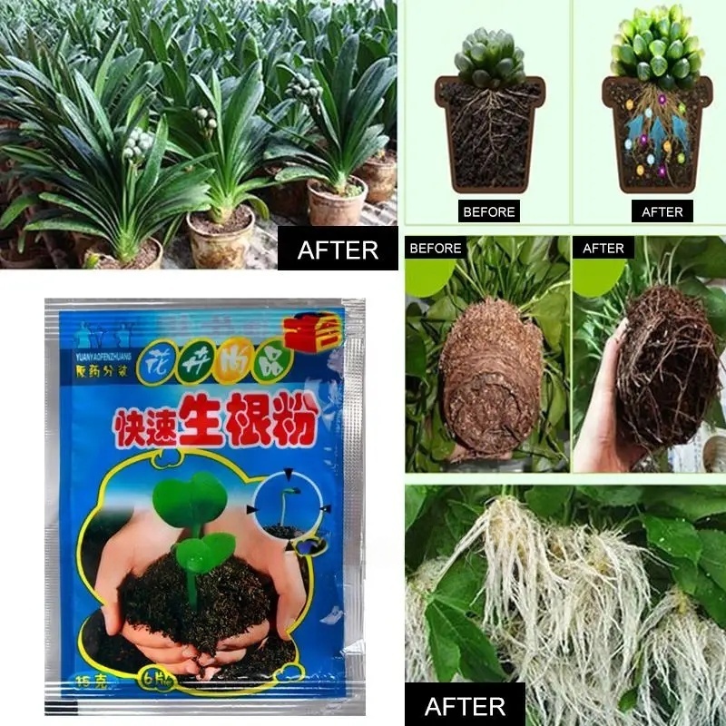 5 Buah Bubuk Pengakaran Cepat  - Rooting Hormone Powder ulasan dan harga