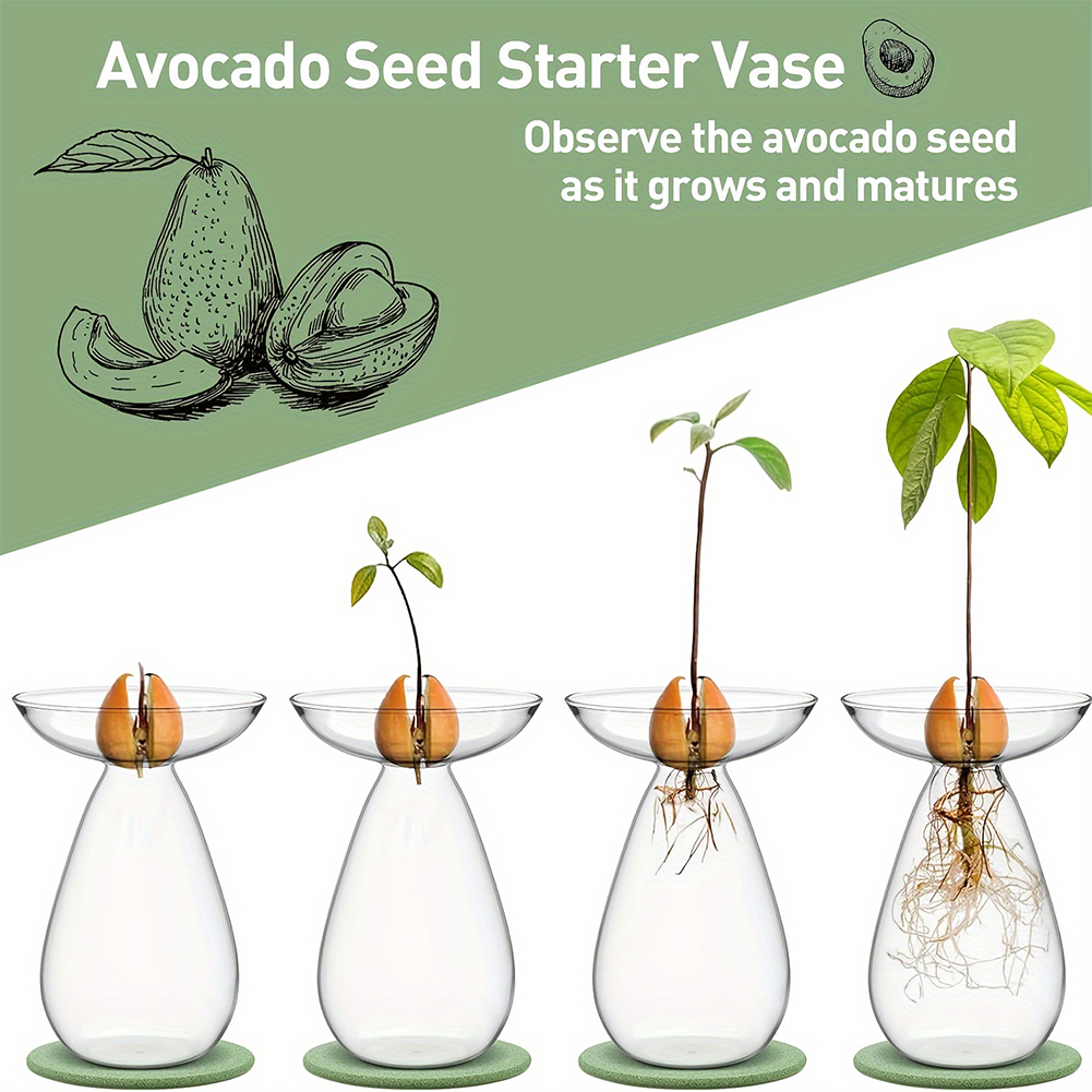 Vas Hidroponik Pembenihan Biji - Propagation Station Vase ulasan dan harga