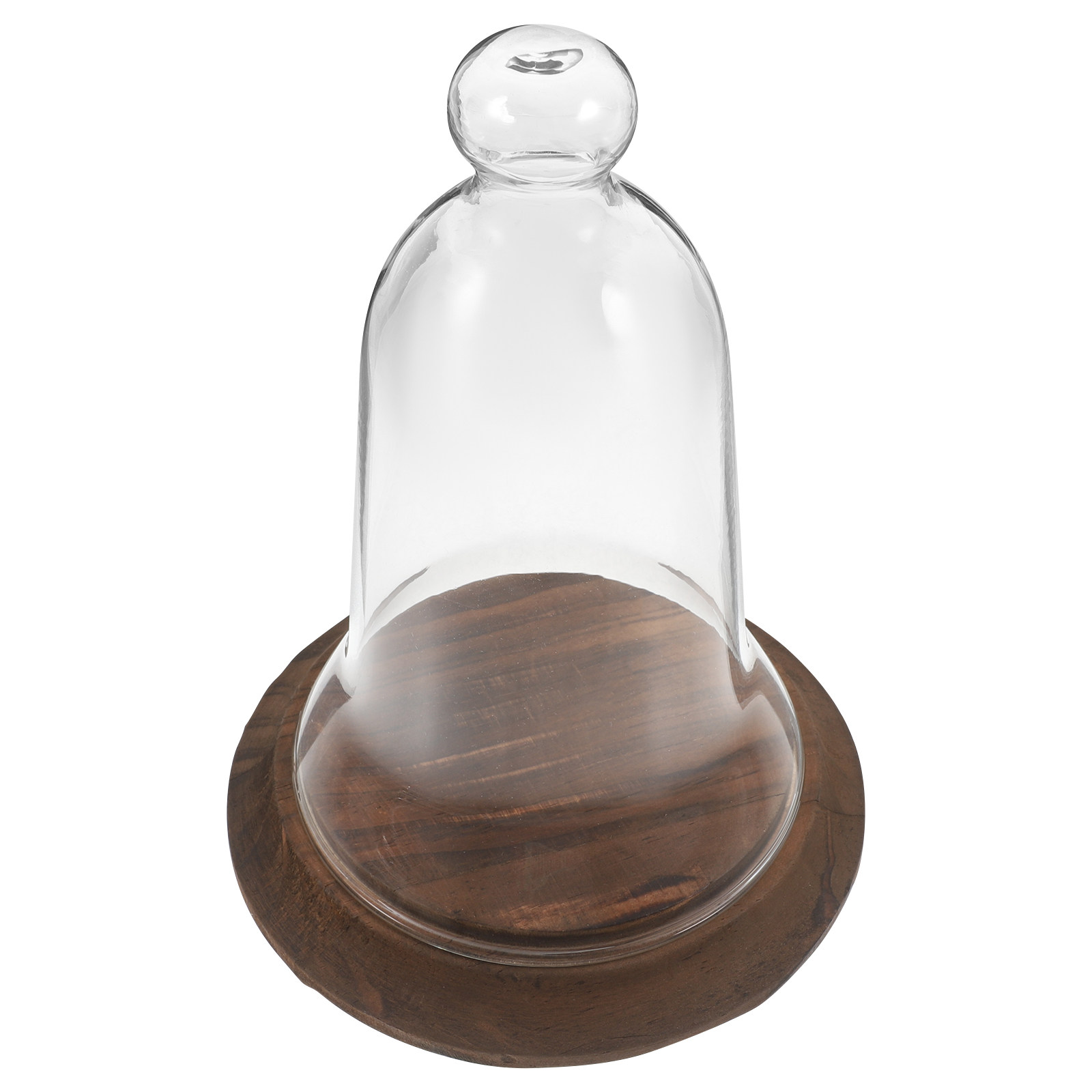 Kubah Kaca Bening Berkualitas  - Plastic Dome Clear ulasan dan harga
