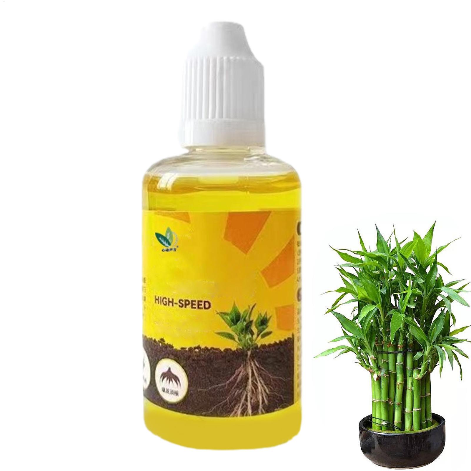 50Ml Stimulator Pengakaran Tan - Rooting Hormone Powder ulasan dan harga