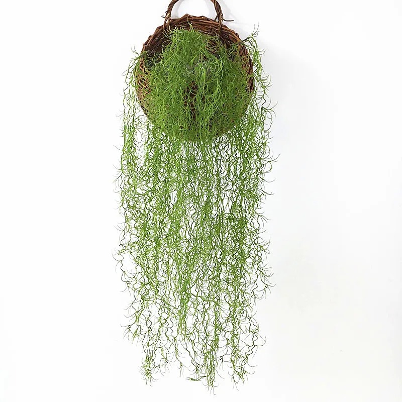 1/3/5pcs Tanaman Rumput Hijau  - Sphagnum Moss Dry ulasan dan harga