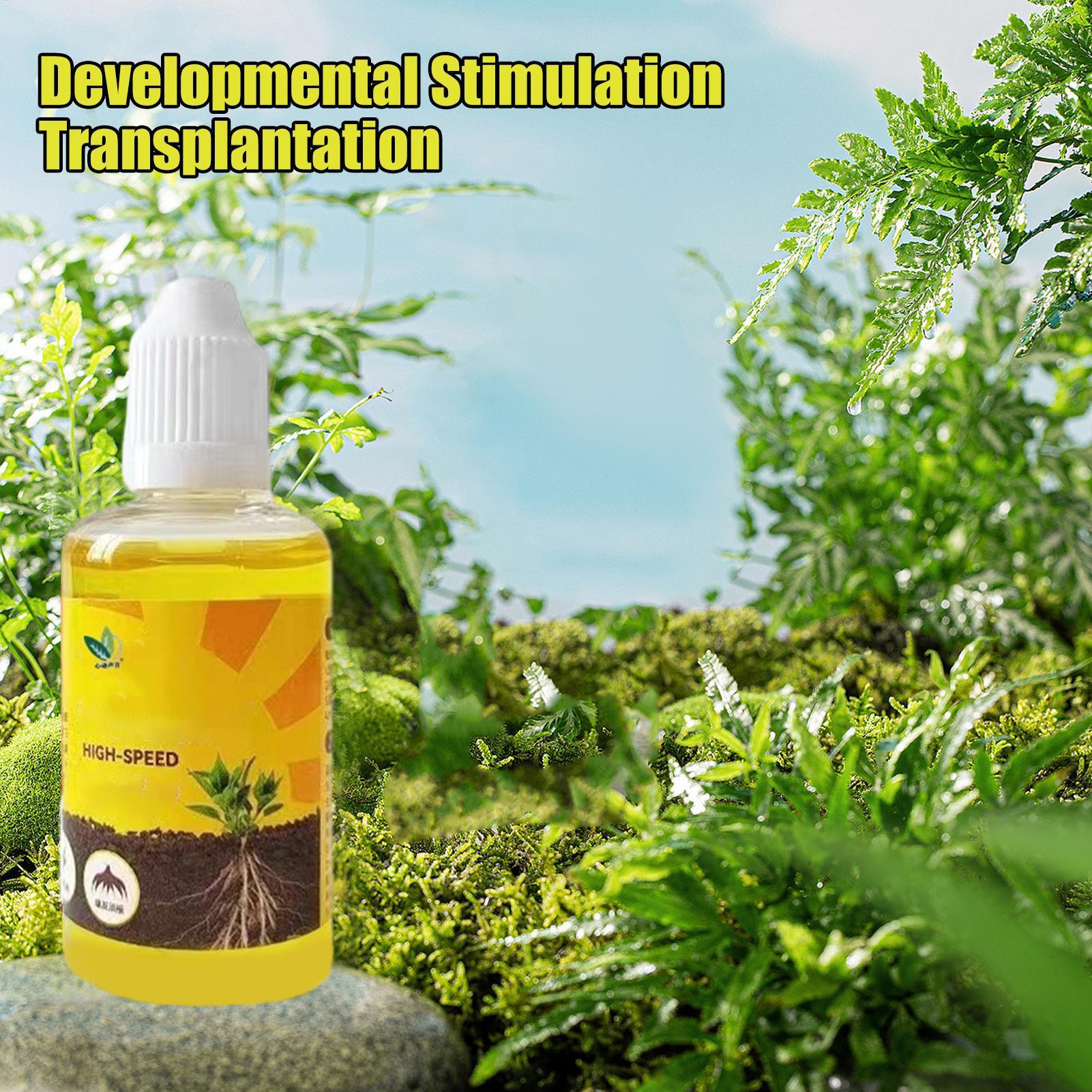 Cairan Kebangkitan Tanaman 50M - Root Stimulator Liquid ulasan dan harga
