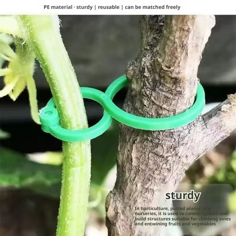 100 Pcs Penjepit Tanaman untuk - Sphagnum Moss Dry ulasan dan harga