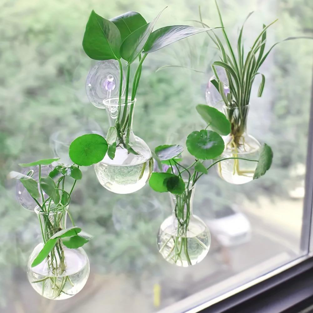 1/2/3/4/6/8 Buah Bohlam Perban - Propagation Station Vase ulasan dan harga