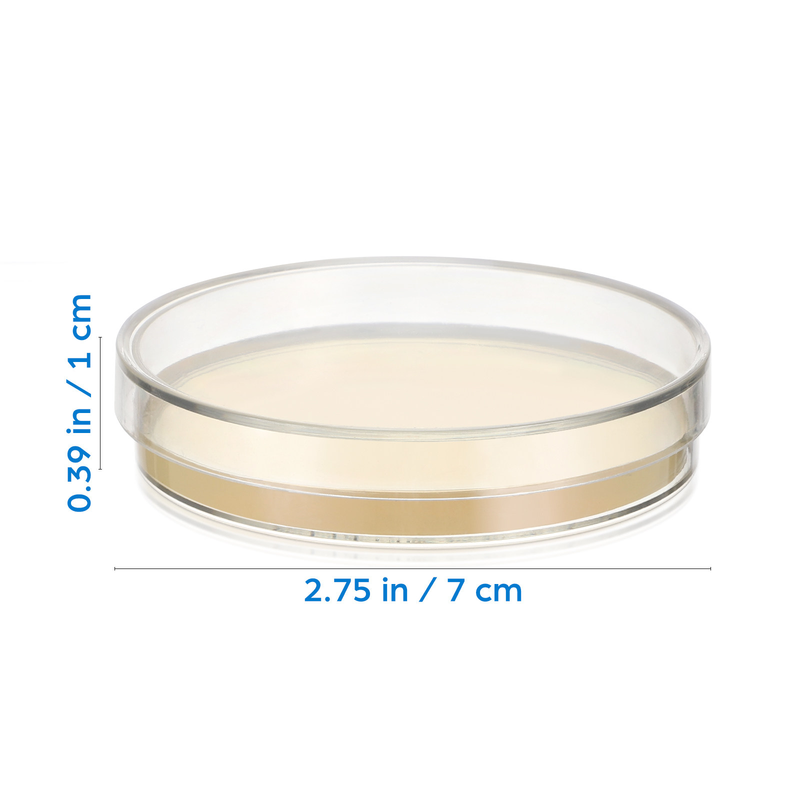 20 Buah Cawan Petri Agar Nutri - Agar Tissue Culture ulasan dan harga