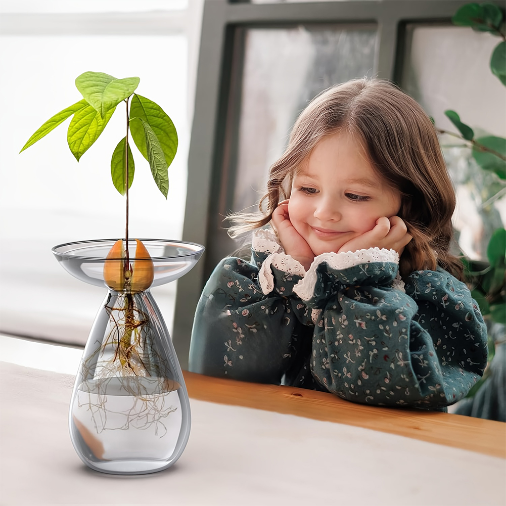 Vas Pembenihan Biji Alpukat Tr - Propagation Station Vase ulasan dan harga