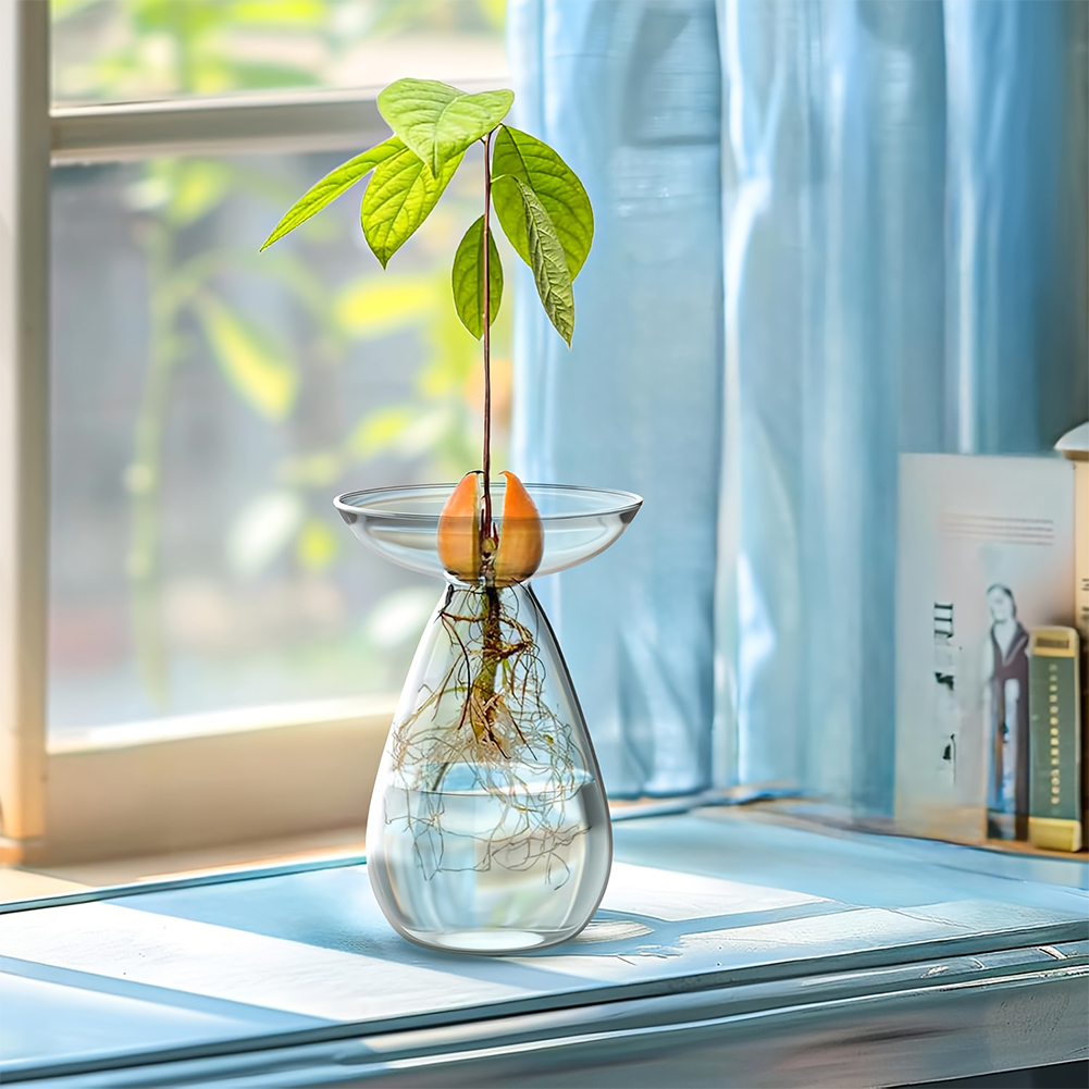 Vas Pembenihan Biji Alpukat Tr - Propagation Station Vase ulasan dan harga