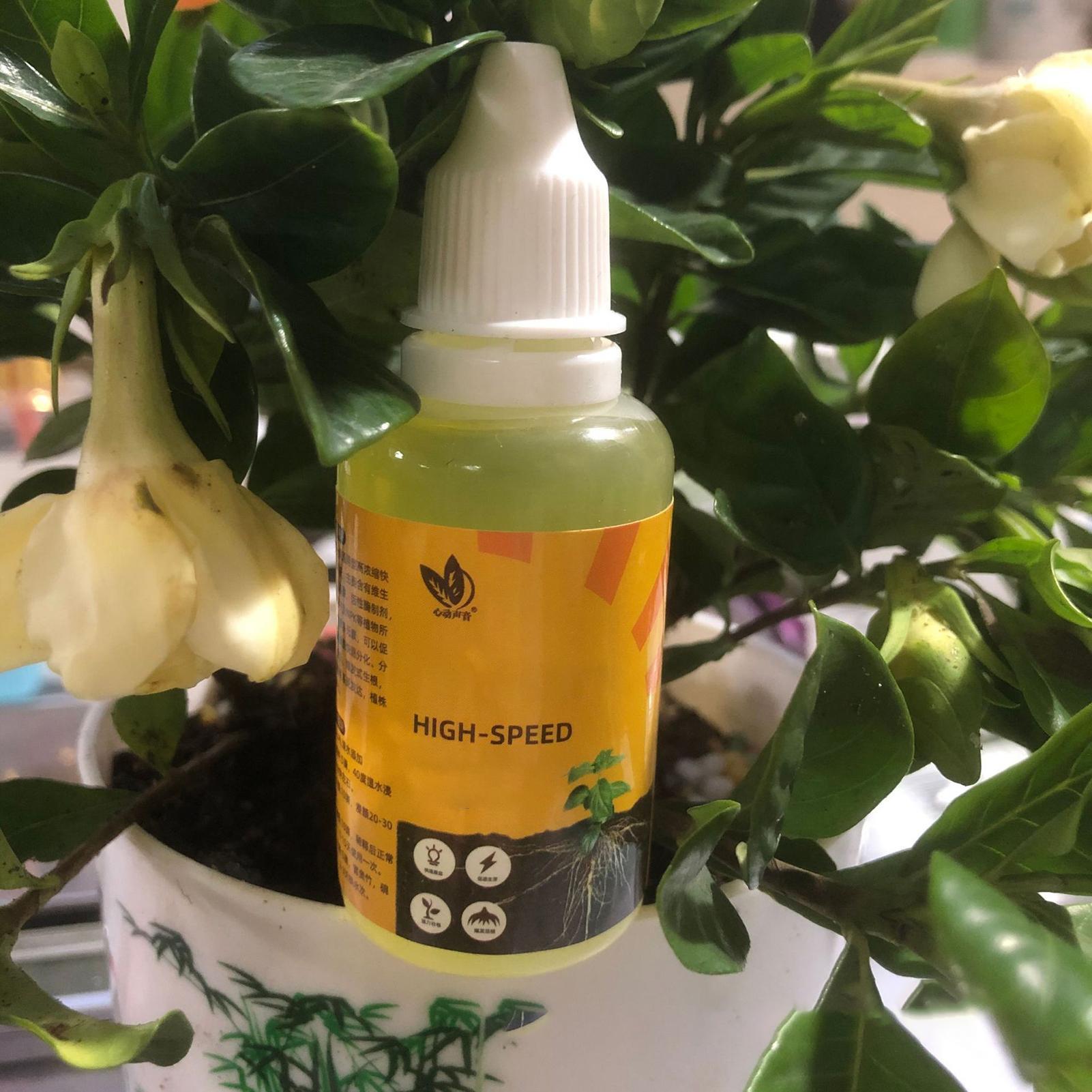 Larutan Nutrisi Tanaman Cepat  - Root Stimulator Liquid ulasan dan harga