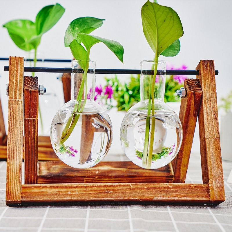 Vas tanaman hidroponik, vas ta - Propagation Station Vase ulasan dan harga