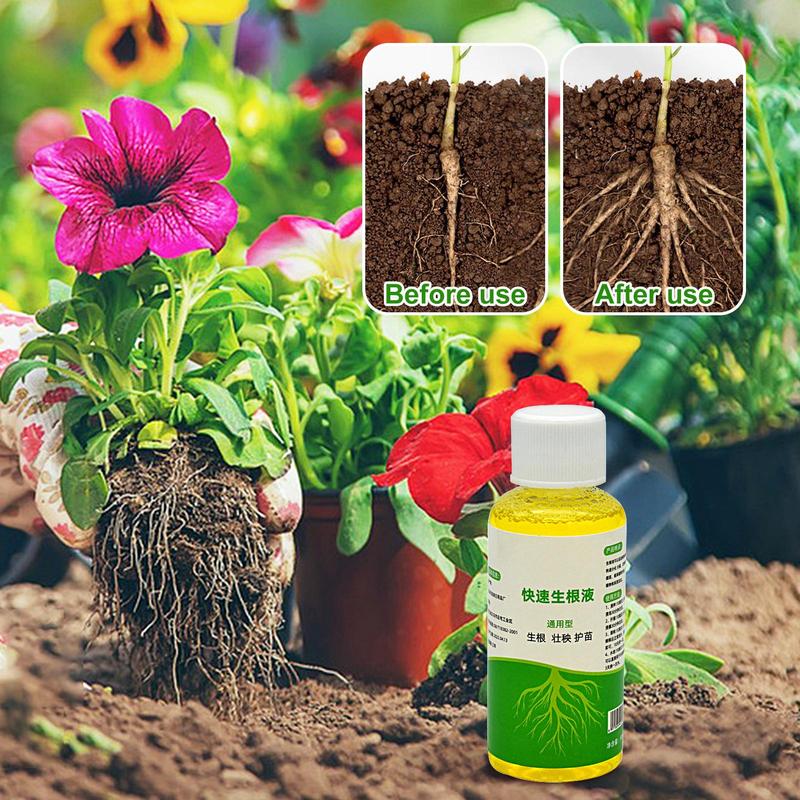 Penguat Akar untuk Tanaman Hor - Root Stimulator Liquid ulasan dan harga