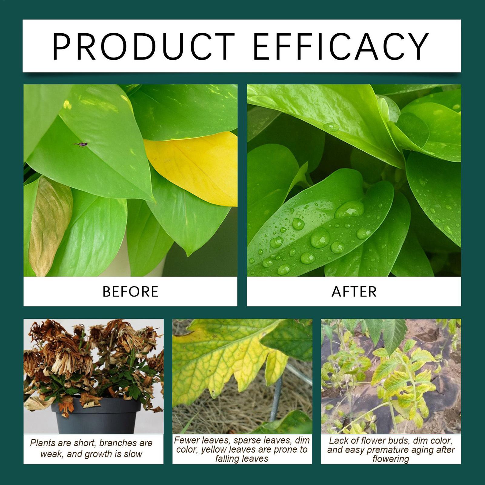 100ml Cairan Perangsang Pertum - Root Stimulator Liquid ulasan dan harga