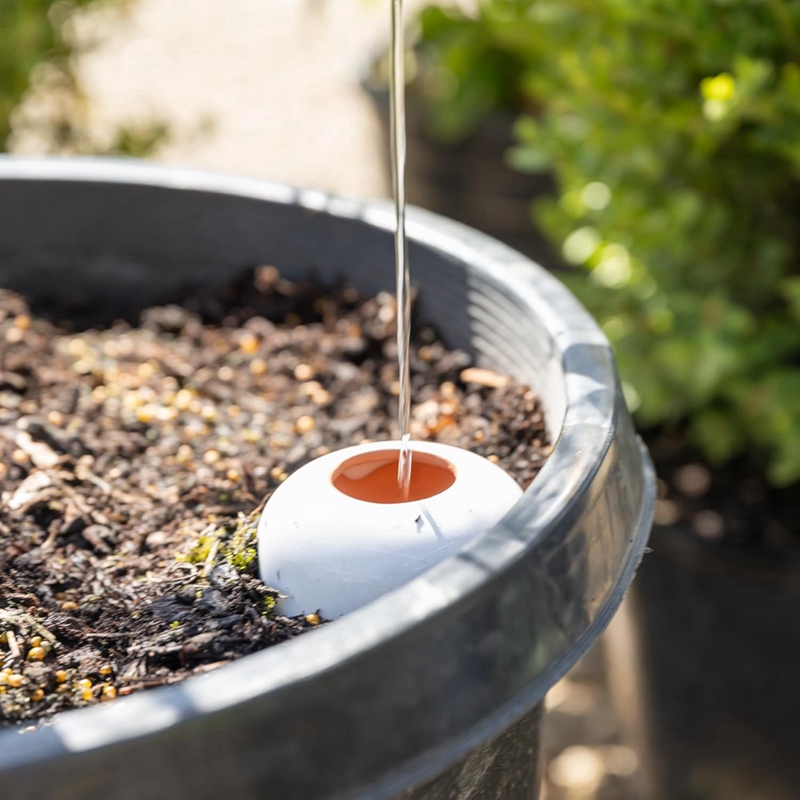 Bola penyiraman tanaman, Spike - Self Watering Insert ulasan dan harga