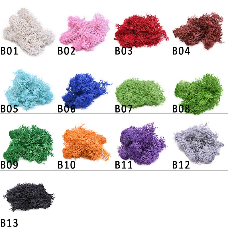 20-40G Buatan Tanaman Alami Ke - Sphagnum Moss Dry ulasan dan harga